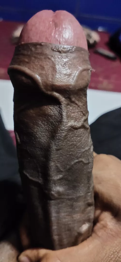 What are you're thoughts on my dick?