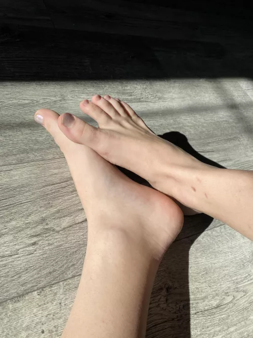 What color should I paint them next?