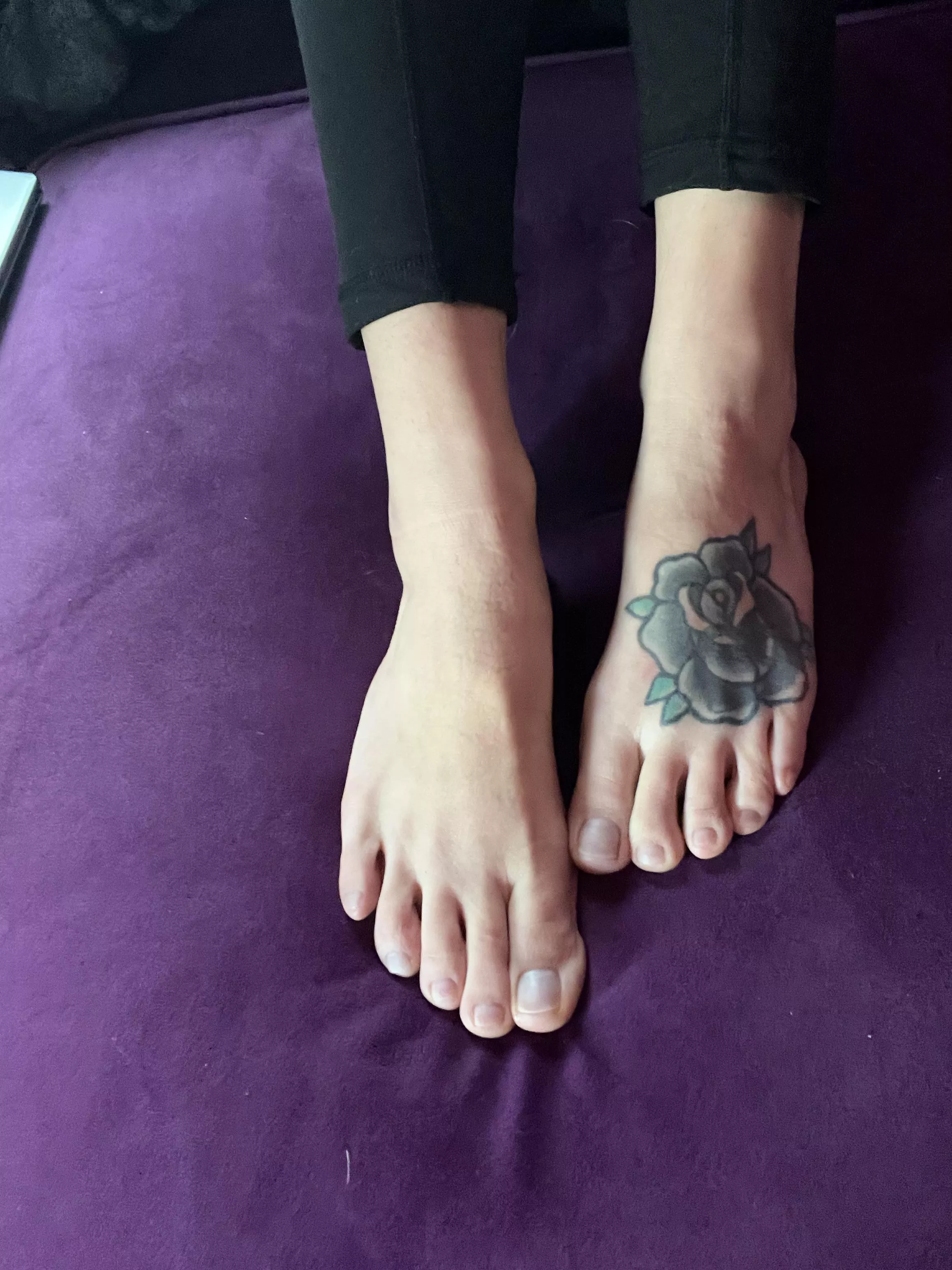 What color to paint these cuties? Hmm