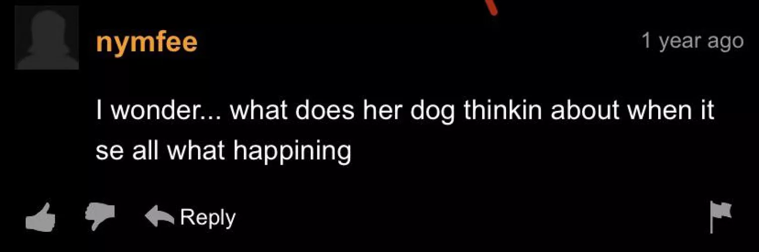 What da dog doin