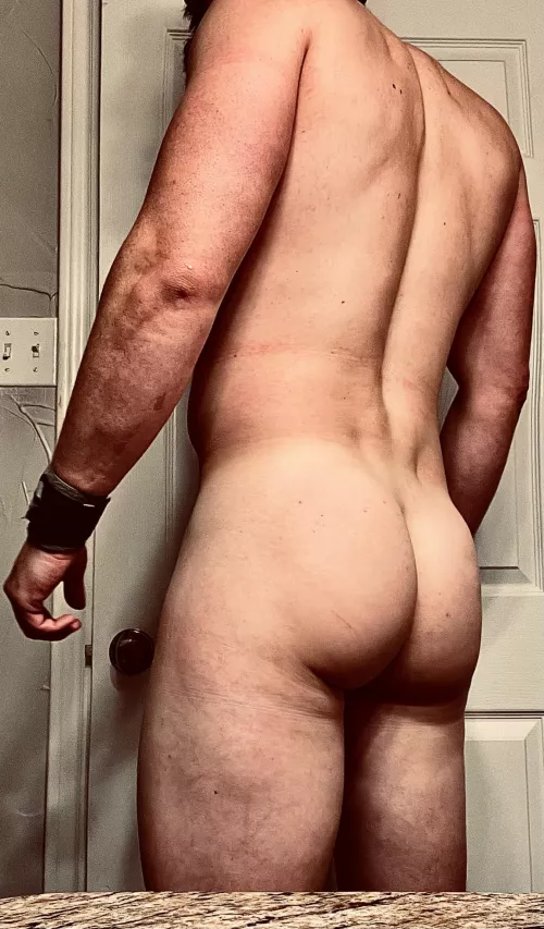 What day is it!? 🐪 (35) What day is it!? 🐪 (35)