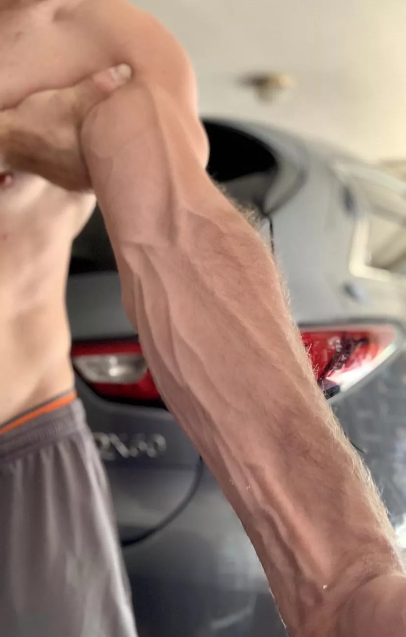 What do y’all think?