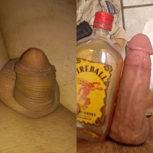 What do yall think does it belong