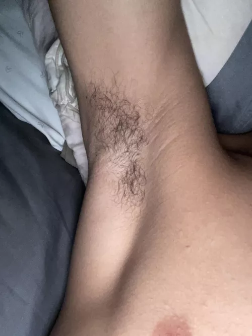 What do you guys think?