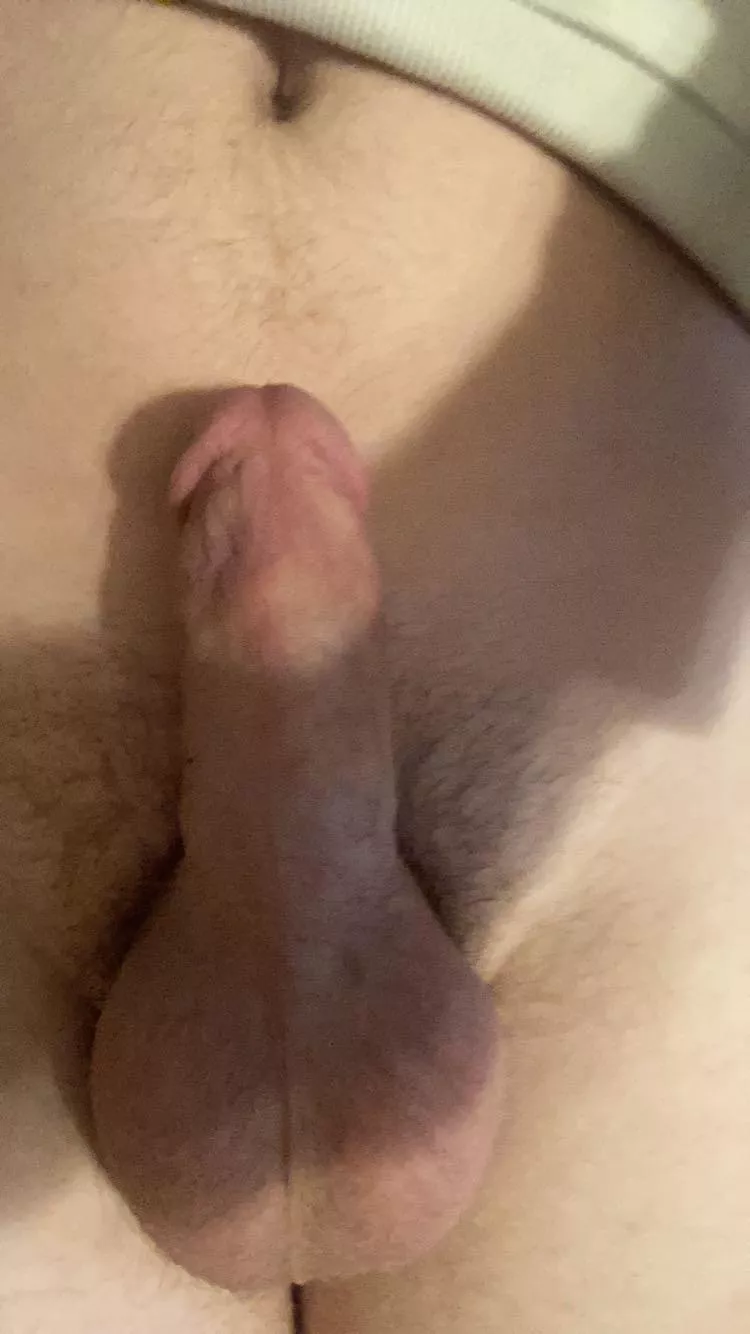 What do you guys think What do you guys think