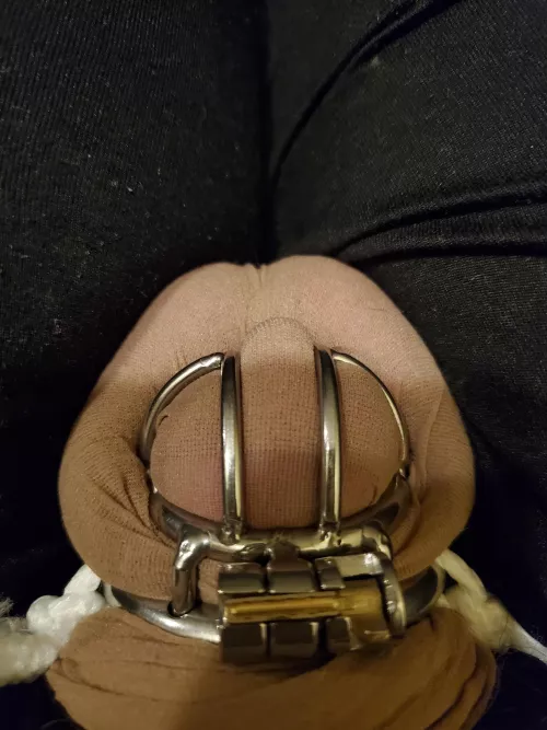 What do you guys think of my new cage?