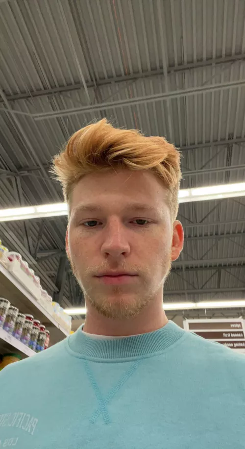 What do you guys think