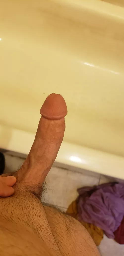What do you think?