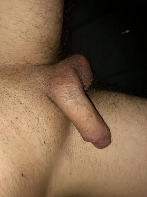 What do you think ?