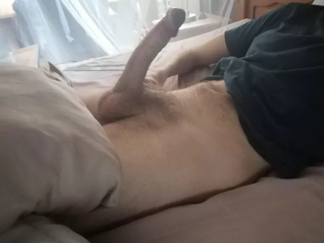 What do you think?