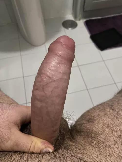 What do you think of my Italian member?