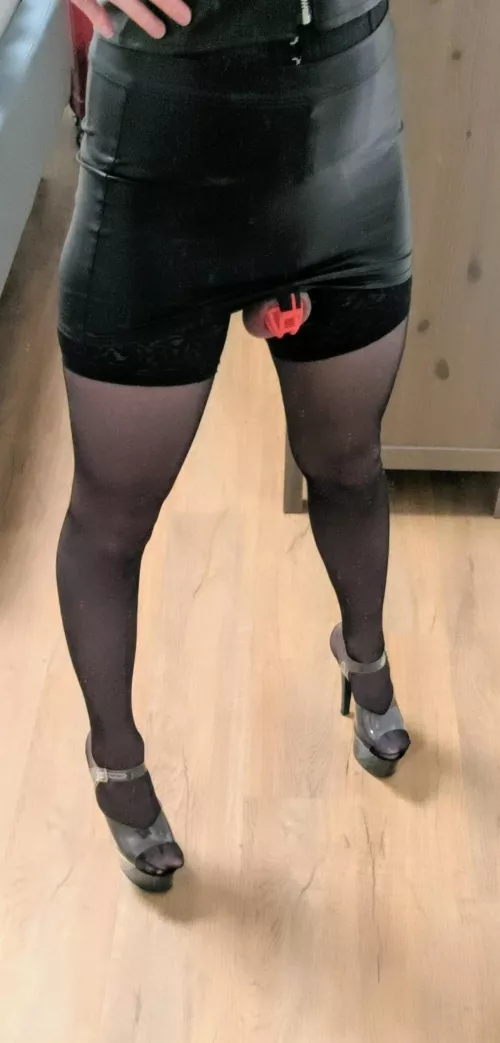 What do you think of my new cage? What do you think of my new cage?