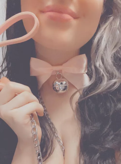 what do you think of my new collar? 😊