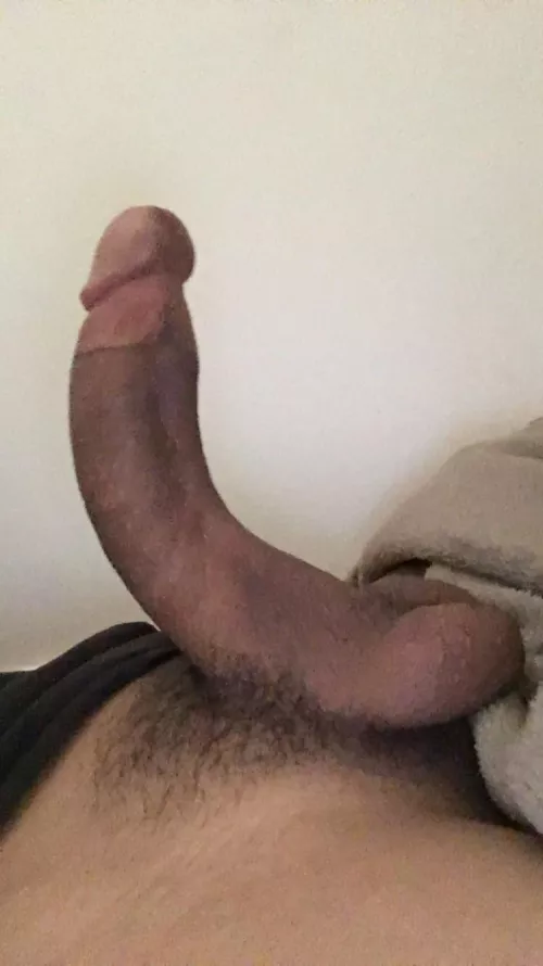 What do you think of my pubes?π