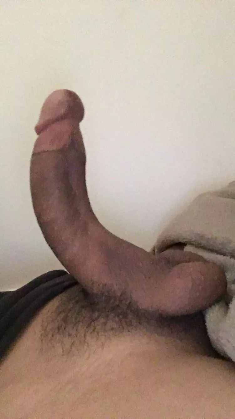 What do you think of my pubes?😈