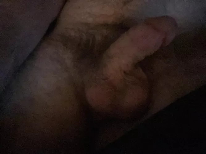 What do you think of my soft cock and pubes ;)?