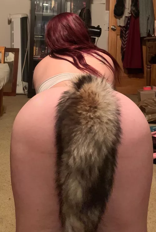 What do you think of my tail? What do you think of my tail?