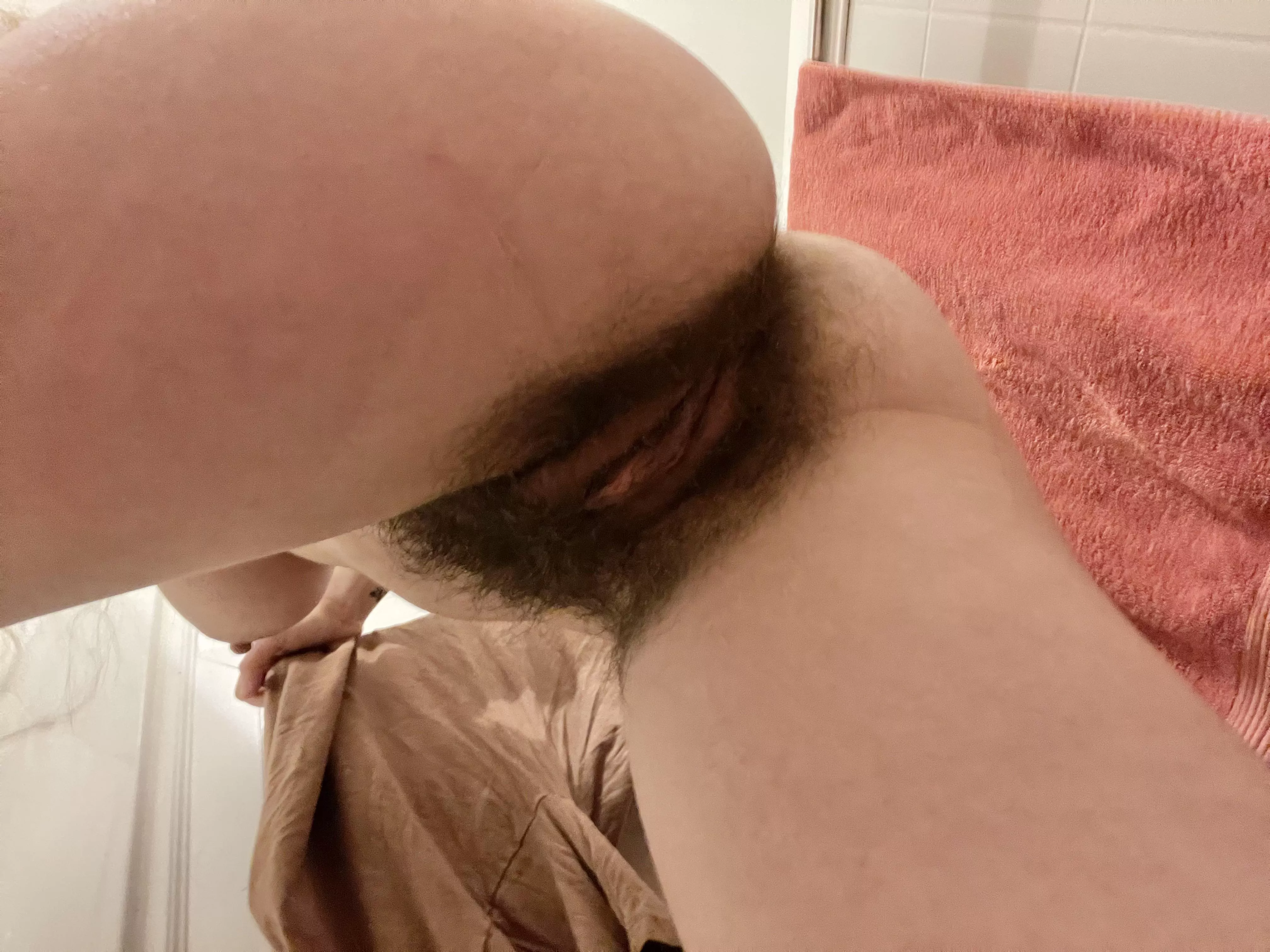 What do you think of my untamed bush?