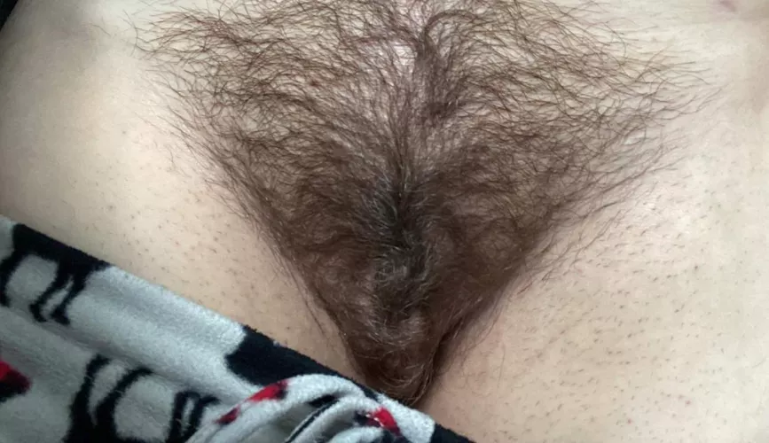 What do you think of my wife's bush? ;)