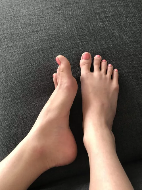 What do you think of these?