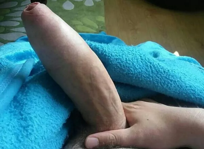 What do you think of this Welsh cock š