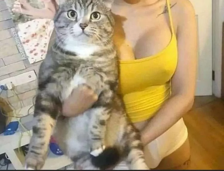 What is she hiding behind that pussy? What is she hiding behind that pussy?