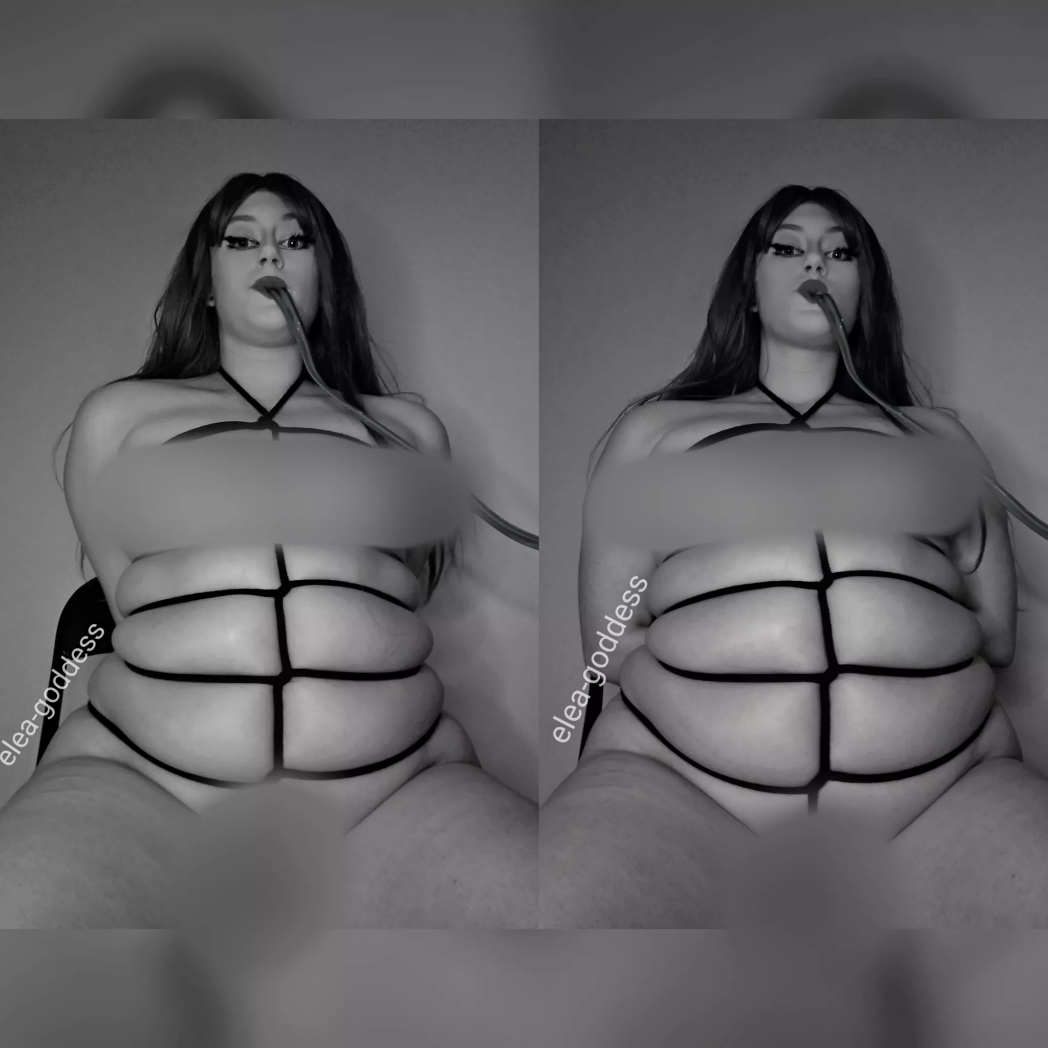 What would make you stop pouring more and more fattening cream down my gut?