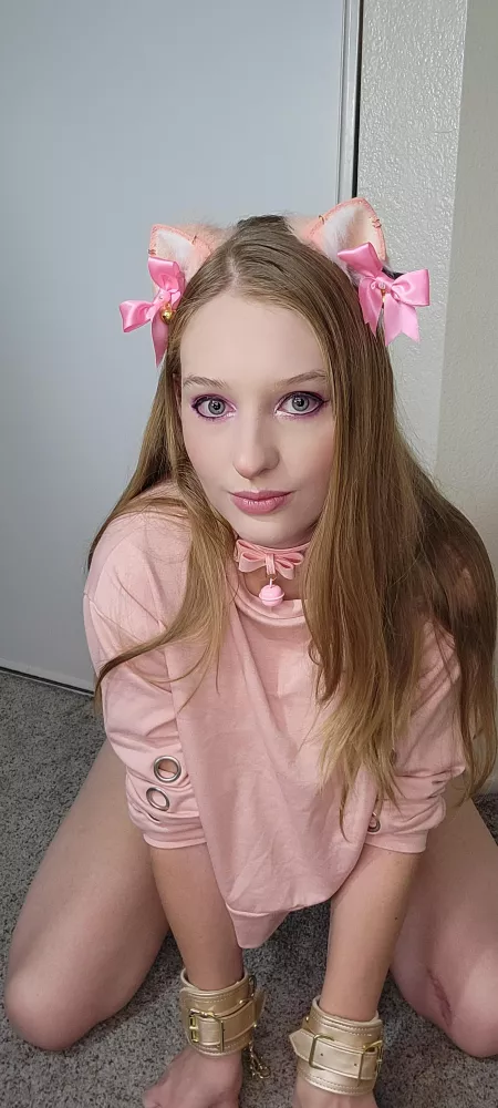 What would you do if kitten started climbing up to you looking like this?