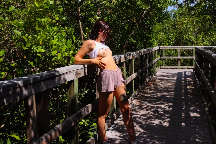 What would you do if you saw me in the park? What would you do if you saw me in the park?