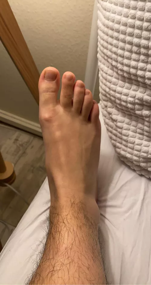 What you guys think?