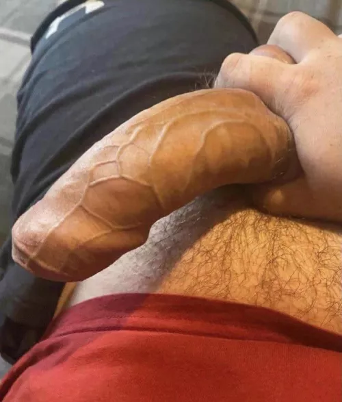 Whatβs everyone think?