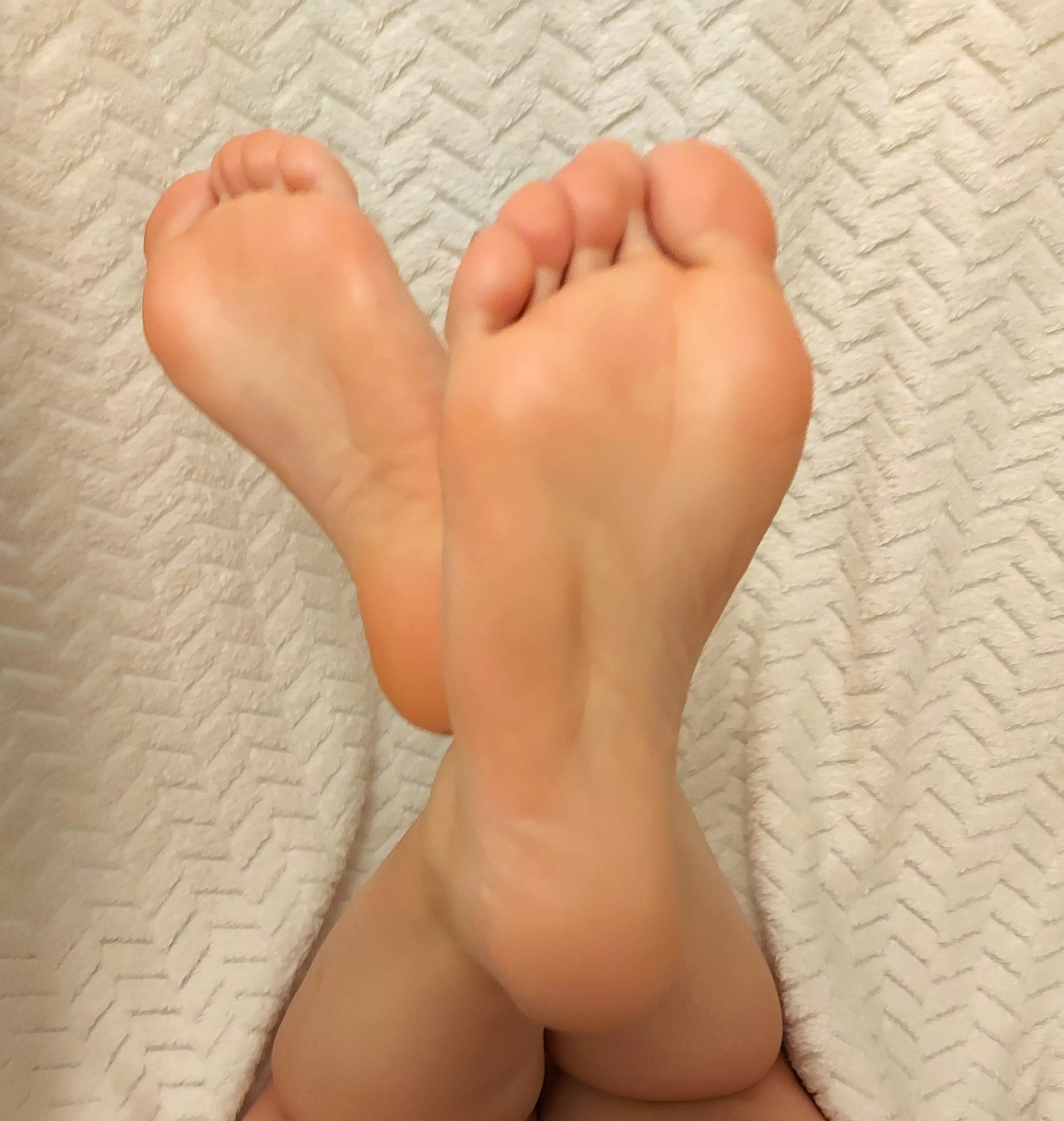 What's the first thing you would do if you were woken up by these? What's the first thing you would do if you were woken up by these?