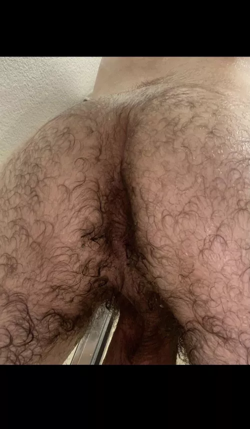 Whatβs the verdict on this hairy ass ?