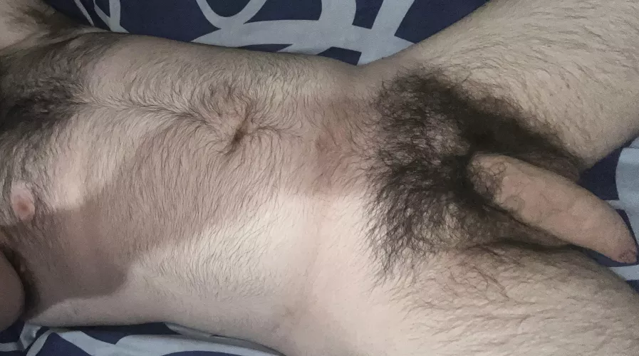 What’s up boys? Wanna suck this hairy cock? What’s up boys? Wanna suck this hairy cock?