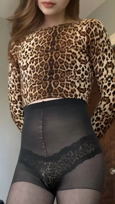 What's your take on pantyhose? What's your take on pantyhose?