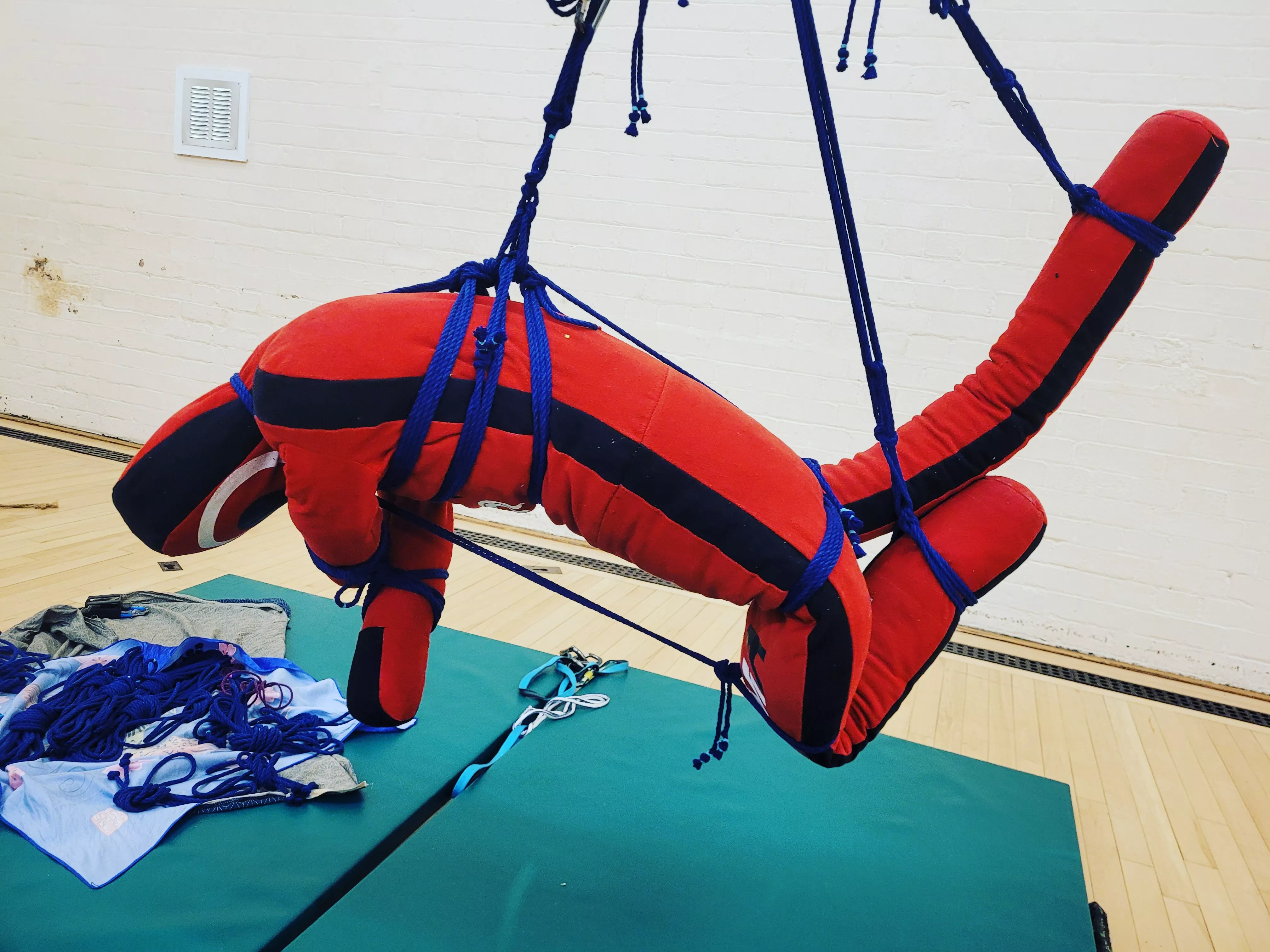 When a martial arts dummy models for you at your Peer Rope event....