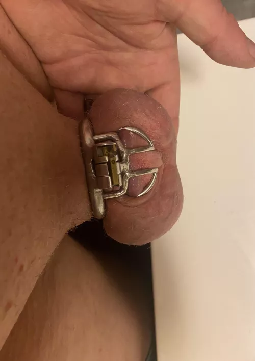 When my wife told me she had a reward for me this wasnโt what I had in mind. Smaller cage, smaller ring. ๐ฉ