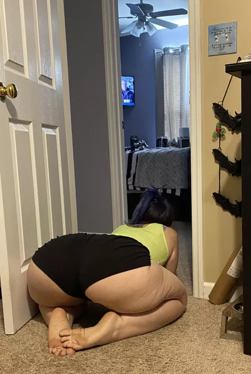 When playing with your dog provides a “good angle”