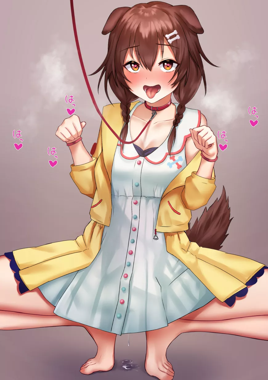 When the good puppy is wet When the good puppy is wet