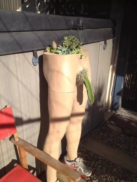 When you're dating a Plant Gay When you're dating a Plant Gay