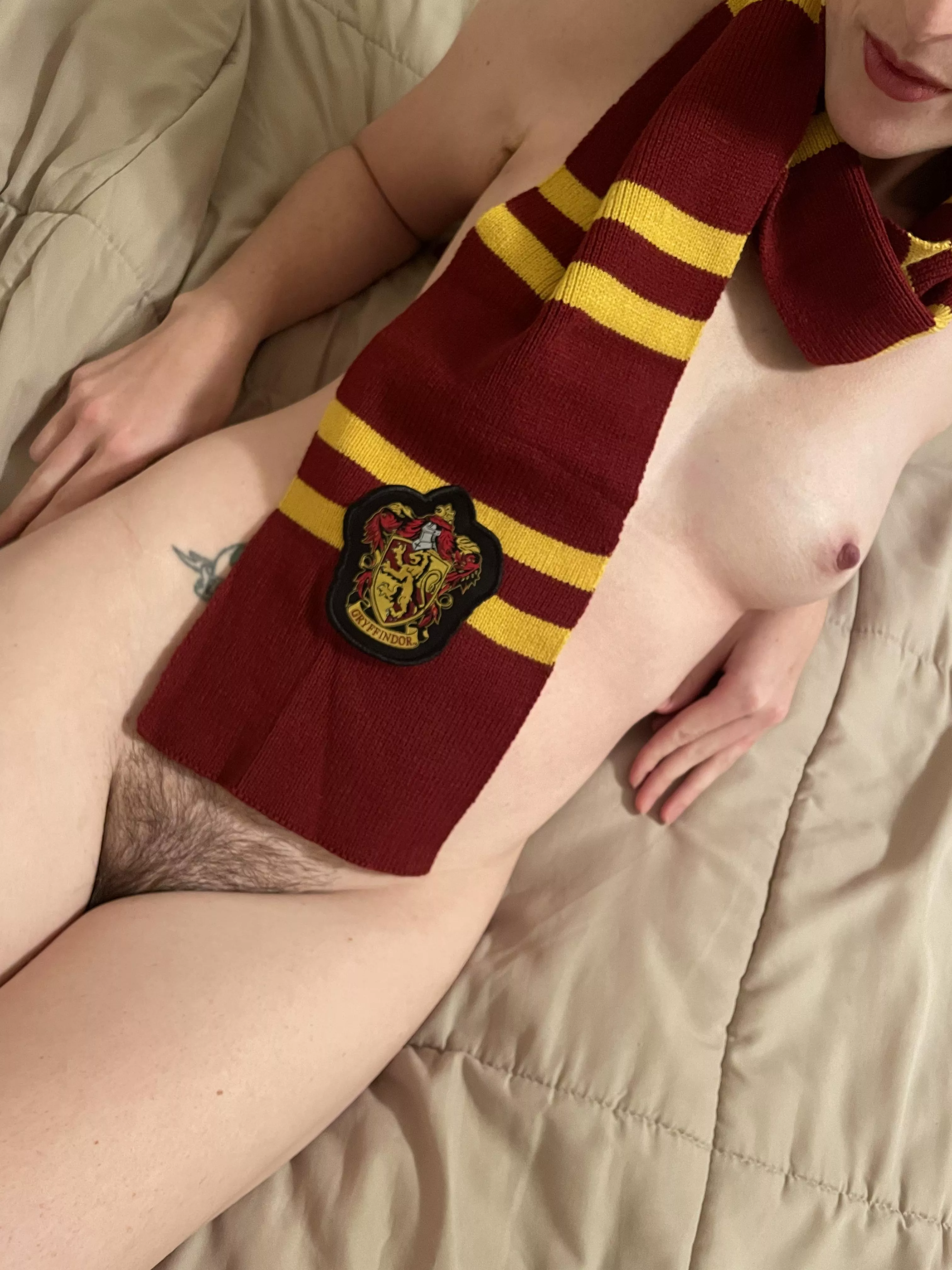 Where are my Gryffindor fans