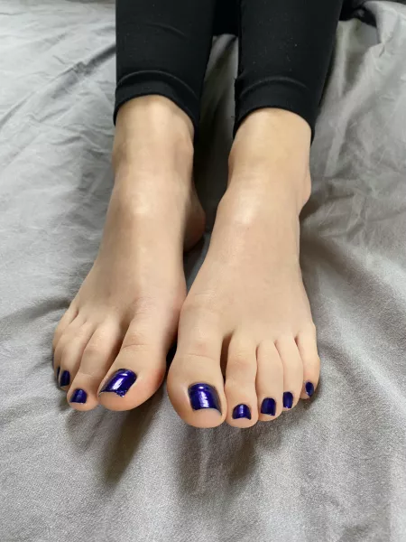 Where are the midnight blue fans?💙