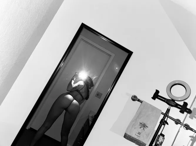 Where my booty lovers at!?