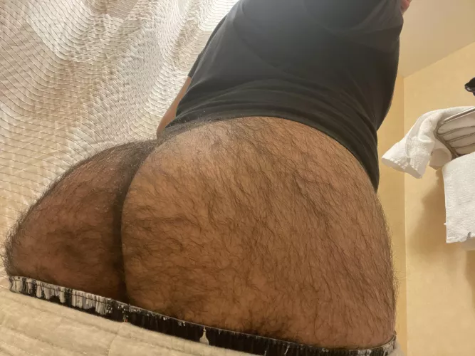 Where my βbrosβ that like hairy ass?