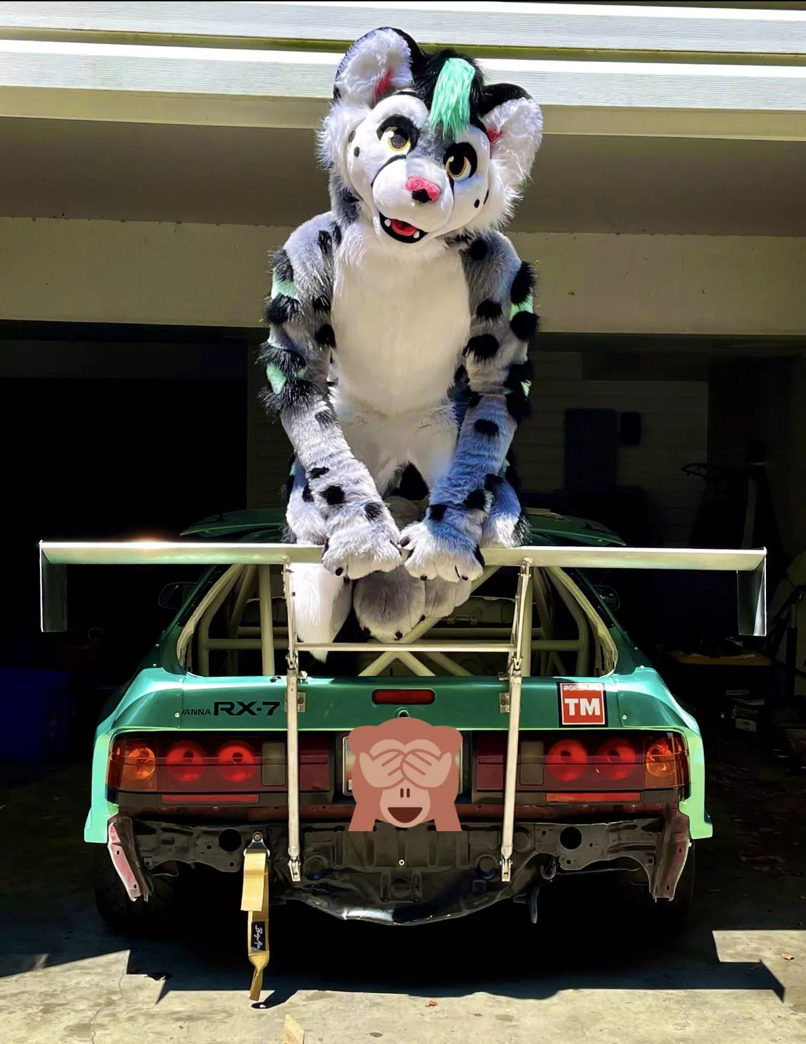 Where’s my spray bottle…OFF THE CAR