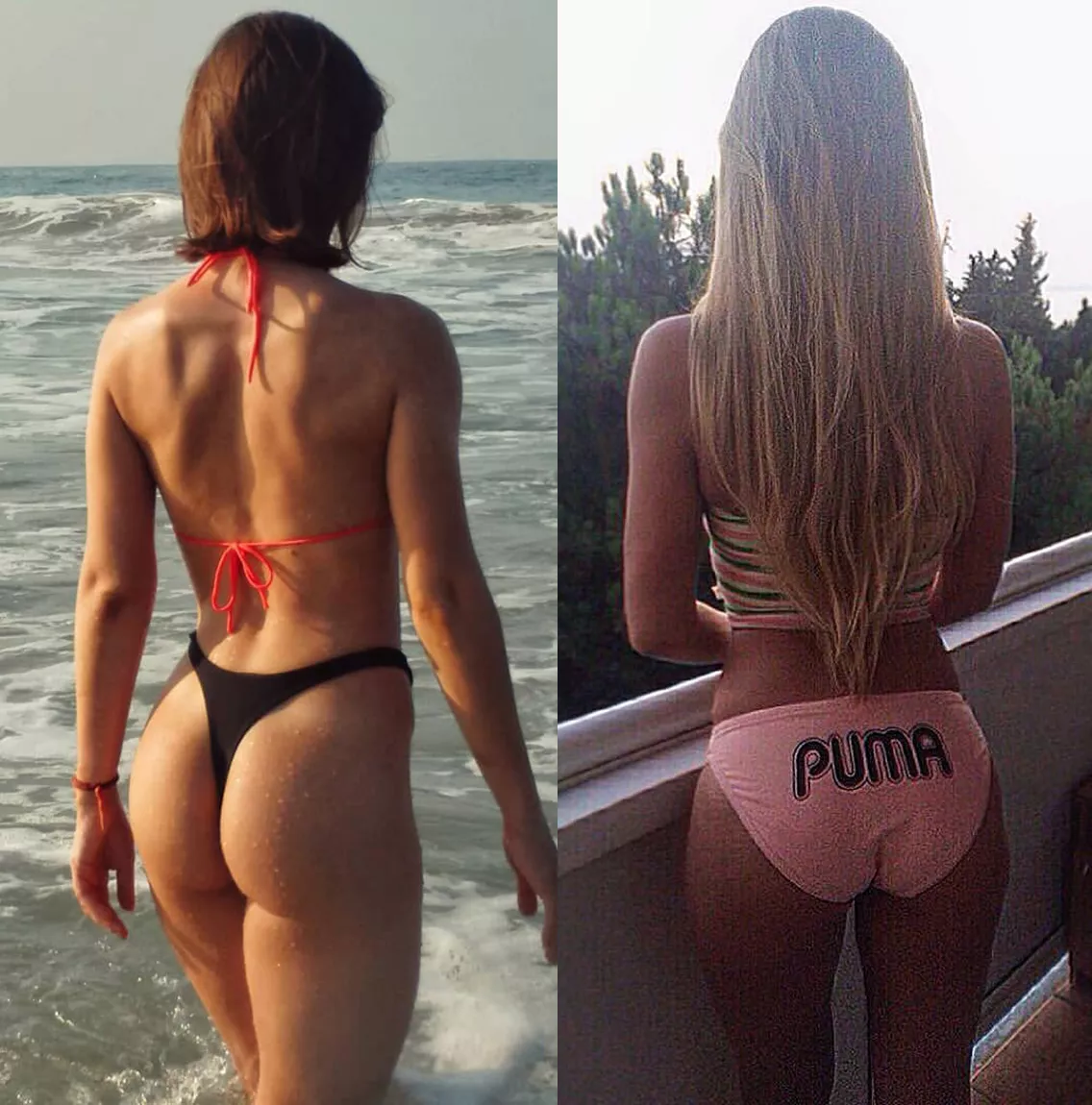 Which Ass?