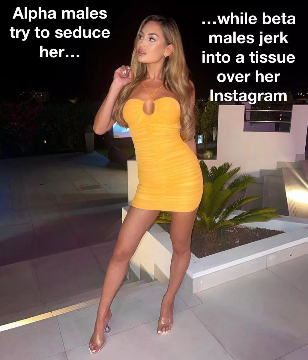 Which one are you? Which one are you?