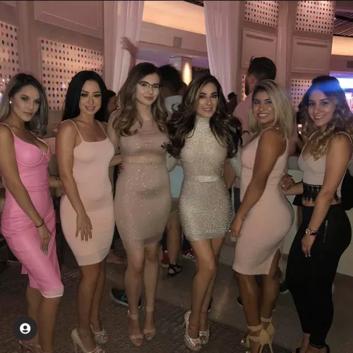 Which one would you take home and why? Which one would you take home and why?