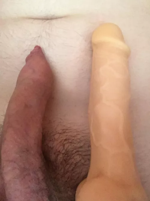 Which one you choosing? Iām curious x