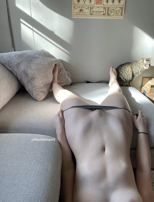 Which part do you want first?